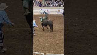 Rodeo in Anderson SC BullRiding Bareback Horse Rodeo BarrelRacing Cowboys Cowgirls Country [upl. by Hadsall]