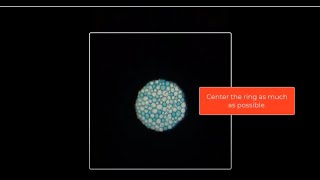 How to do Koehler alignment on a Leica DMi8 microscope [upl. by Oijile]