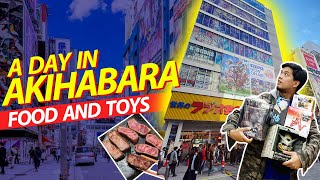 Akihabara Japan Guide ULTIMATE DAY TOUR [upl. by Ierdna]