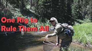 A Versatile Rig for Technical Small Stream Fly Fishing [upl. by Naitsabas]