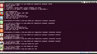 5 dig command in linux [upl. by Nihahs]