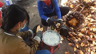 NIPA PALM Fruit  Vietnamese Street Food  Dua Nuoc [upl. by Ladonna]