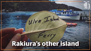 The ferry to Ulva Island A wilder side of Rakiura Stewart Island [upl. by Nrehtak]