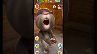 Talking tom cat part 22 shotrs tomcat funnycats [upl. by Jeavons]