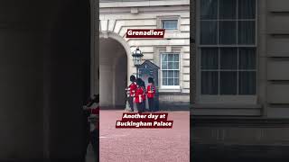 grenadiers kingsguards britisharmy buckinghampalace [upl. by Yedsnil485]