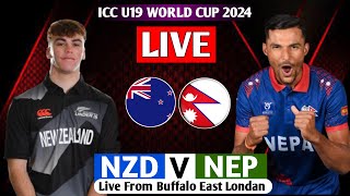 NEPAL u19 VS New Zeland ICC U19 WORLD CUP 2024 LIVE  NEP VS NZ LIVE MATCH WORLD CUP [upl. by Kcirre]