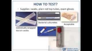 How When and Who to Test for Canine Infectious Respiratory Disease Complex  conference recording [upl. by Yessak]