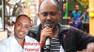 Addunyaa Yaamii Oromo Ethiopia New cover music 2024 [upl. by Tennes]