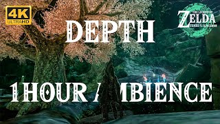 DEPTH  BLUPEE BURROW  Zelda Tears of the Kingdom Ambience amp Music Original Sound [upl. by Isabeau]