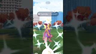 ✨DAY 1 Of Wild Area Event  CRAZY LUCK✨ Pokémon GO pokemongo shinyencounter wildarea [upl. by Gerda]