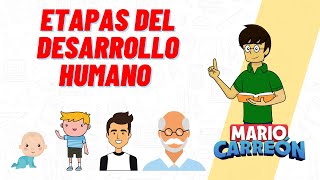 Etapas del Desarrollo Humano [upl. by Jori]