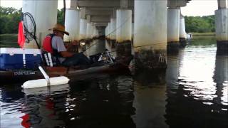 Fish Kingz black drum and sheepshead fishing [upl. by Audy228]