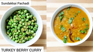 TURKEY BERRY CURRY RECIPE  SUNDAKKAI PACHADI RECIPE [upl. by Sharleen]