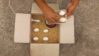 Easy to make incubator at home  Hatching eggs  Aseel chicks aseel viral shorts birds hatch [upl. by Lertram]