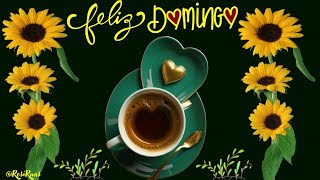 Bom Dia  Feliz Domingo Lindo Vídeo [upl. by Lordan]