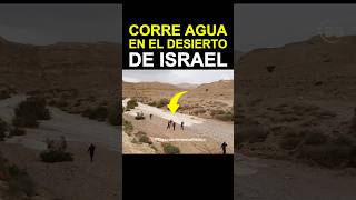 🇮🇱 Agua en el Desierto Un Fenómeno Real y Único en Israel qué Atrae Multitudes [upl. by Hescock]