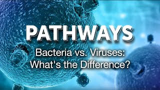 Pathways Bacteria vs Viruses Whats the Difference [upl. by Neill]