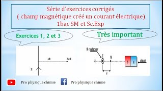 série dexercices corrigés  champ magnétique créé par un courant électrique 1bac SM et ScExp [upl. by Ennire]