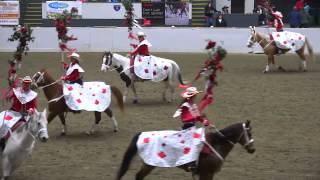 Equiine Affaire 2014 Fantasia  Canadian Cowgirls [upl. by Ayekat]