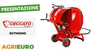 Presentazione del Ceccato Olindo SGTMONO  Banco sega circolare a cavalletto  Tagliatronchi  230V [upl. by Drareg]