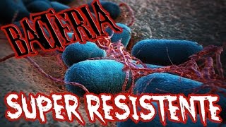 BACTERIA SUPER RESISTENTE ESCHERICHIA COLI [upl. by Ahsim]