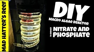 DIY Macro Algae Reactor to Reduce Nitrate and Phosphate [upl. by Aleacem]