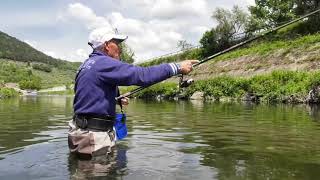 La PESCA dei CAVEDANI nel fiume BISENZIO CON le CANNE BOLOGNESI FIUME SUPERIOR Colmic [upl. by Reffinej]