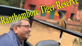 Ranthambore tiger Reserve Ranthambore [upl. by Kenton]