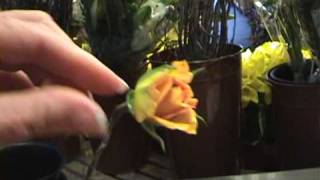 Project Green Prom How To Make Your Own Corsage [upl. by Meares854]