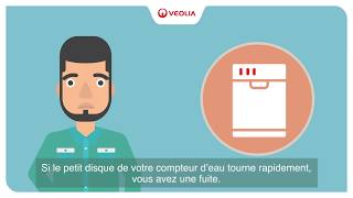 Veolia  comment détecter facilement une fuite deau [upl. by Annabelle]