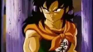 Lobo Solitario  Homenaje Yamcha [upl. by Aissatsan]