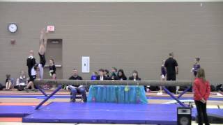 2012 Illinois State Gymnastics Meet Level V Girls [upl. by Alrrats]