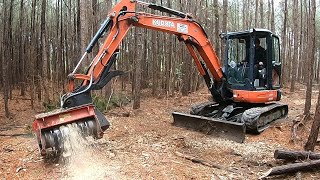 OWNER IN COMPLETE DISBELIEF AFTER MULCHING HUNDREDS OF STUMPS [upl. by Aneele224]