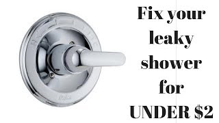 Fix a leaky Delta Singlehandle shower faucet for UNDER 2 [upl. by Seitz974]