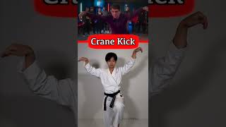 Crane Kick Tutorial｜Cobra Kai amp Karate Kid [upl. by Barbie]