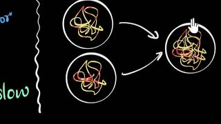 Why sexual reproduction faster variation  How do organisms reproduce  Biology  Khan Academy [upl. by Brigid455]