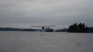 De Havilland Beaver Flyby [upl. by Manchester]