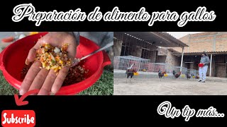 Vlog26 Preparación de alimento para gallos 😮‍💨🙌🏻 [upl. by Cadman]