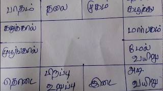 Rasi Chart Basics  ராசி கட்டம்  Rasi Kattam in Tamil [upl. by Ennaharas780]