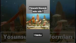 Paleozoik dönem canlıları  instagram shorts türkiye youtubeshorts [upl. by Neret531]