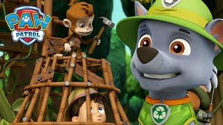 Pups rescue Ryders tools from the mischievous monkeys and more  PAW Patrol Episode Cartoons [upl. by Rella]