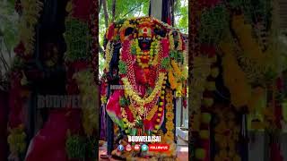 Falaknuma Kali Mata potharajuentry bonalu trendingdjsongs viral shorts falaknuma [upl. by Anelhtac646]