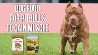 Best Dog Food for Pitbulls to Gain Muscle [upl. by Onid]