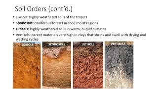 Soil Classification and Survey [upl. by Ostap]