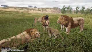 Animalia Survival First Experience As Lion [upl. by Rogerson]