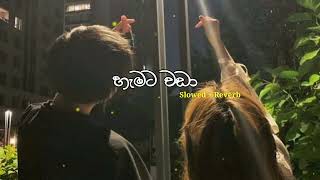 Hamata Wada  හැමට වඩා  Slowed  Reverb  PASIYA vibes [upl. by Kir]