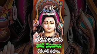 వేములవాడ నీకు కోటి దండాలు l Siva Songs  కార్తీక మాసం సాంగ్స్ lVemulawadaRajanna  Sri Durga Audio [upl. by Hahseram]