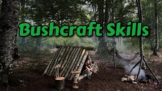 Mastering the Wilderness Essential Bushcraft Skills [upl. by Droffats537]