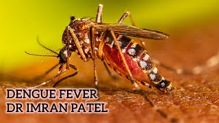 Dengue fever in Hindi  story of Tanvi  Dr Imran Patel [upl. by Ashlen]