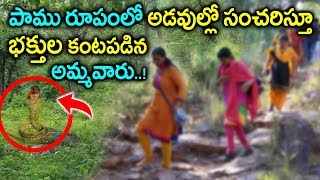 పాము రూపంలో భక్తుల కంటపడిన అమ్మవారు  History Of Sri Gubbala Mangamma Temple  Sumantv [upl. by Ahseen782]